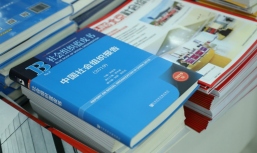 “影响力规模化”专题研究成果被收入《中国社会组织报告》（2019）蓝皮书